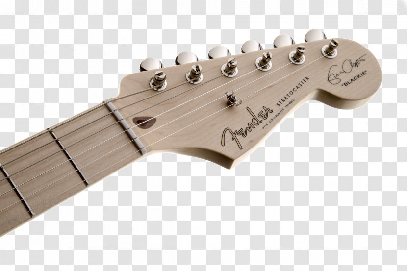 Electric Guitar Fender Stratocaster Eric Clapton Squier Transparent PNG