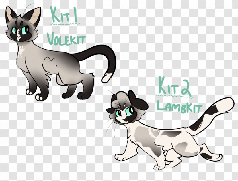Kitten Whiskers Dog Breed Transparent PNG