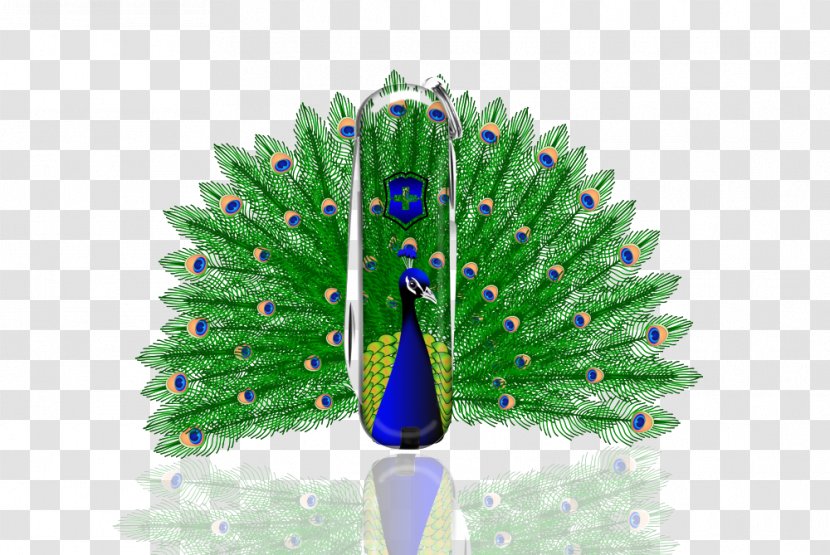 Peafowl Download Clip Art - Creative Peacock Styling Products Transparent PNG