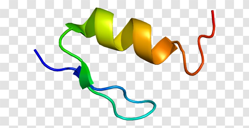 WT1 Wilms' Tumor WAGR Syndrome Protein Suppressor Gene - Yellow - Mesothelioma Transparent PNG