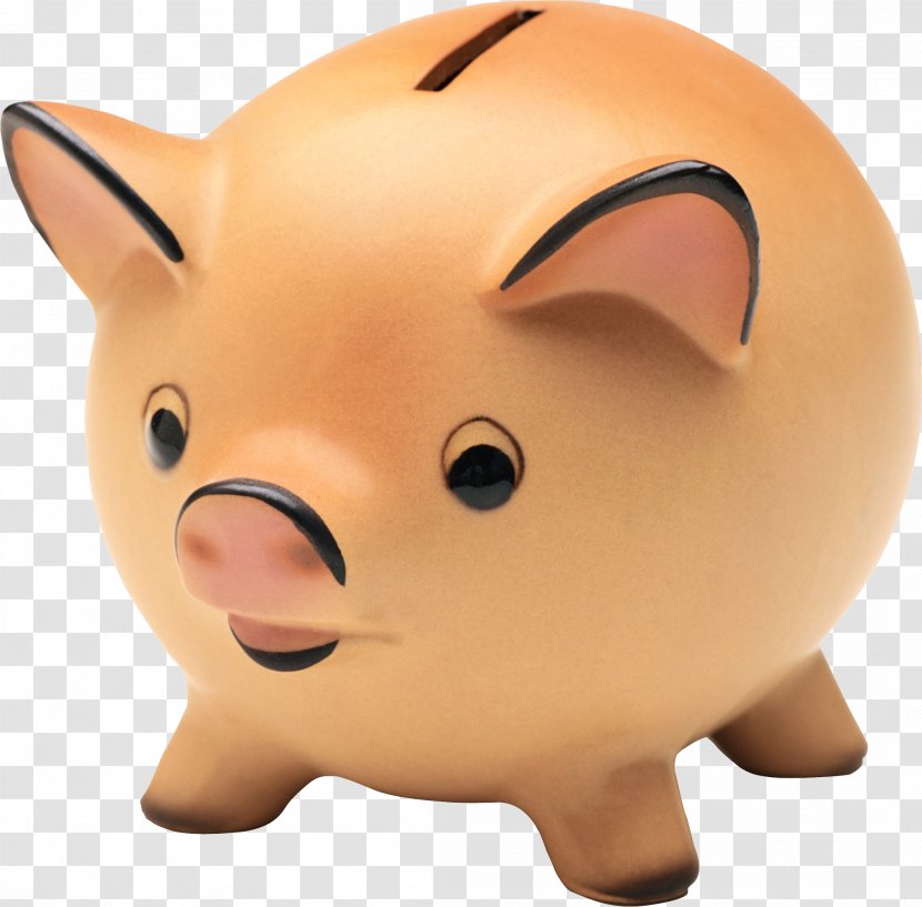 Piggy Bank Money Animation - Giphy - Pig Transparent PNG