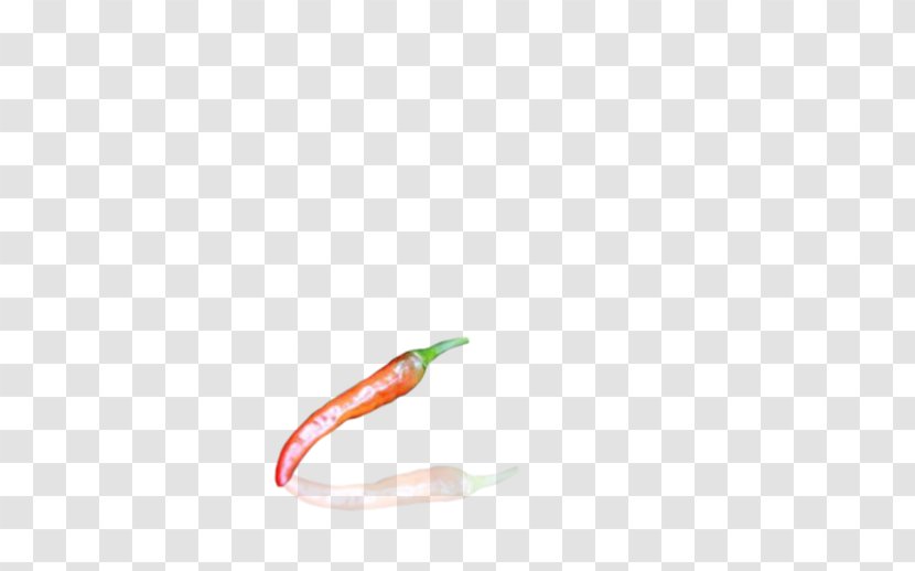 Chili Pepper Cayenne Close-up - Worm - Capsicum Annuum Transparent PNG