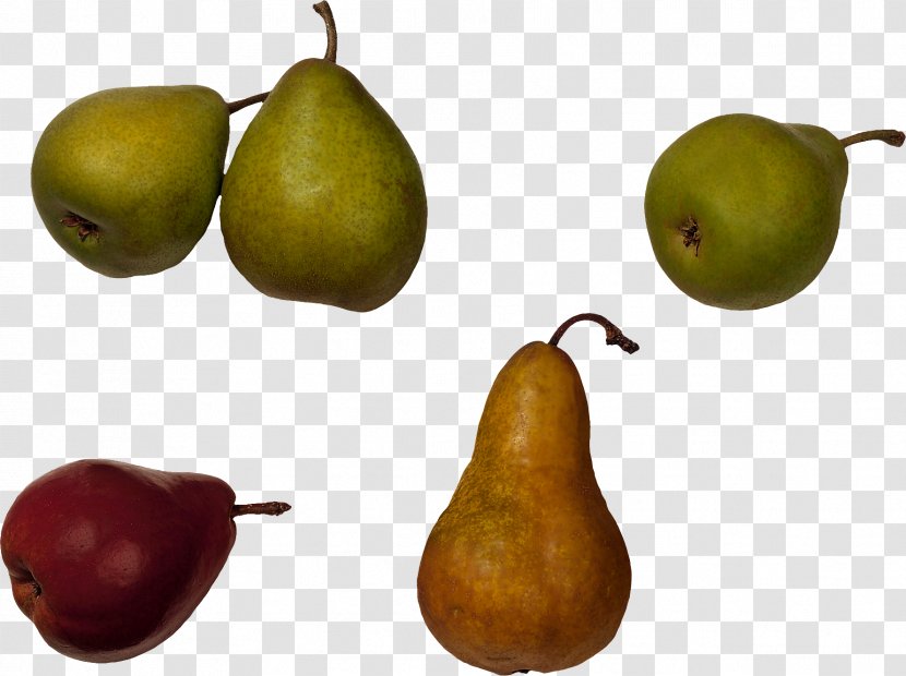 Pear Fruit Food Quince - Rosaceae - Mangosteen Transparent PNG