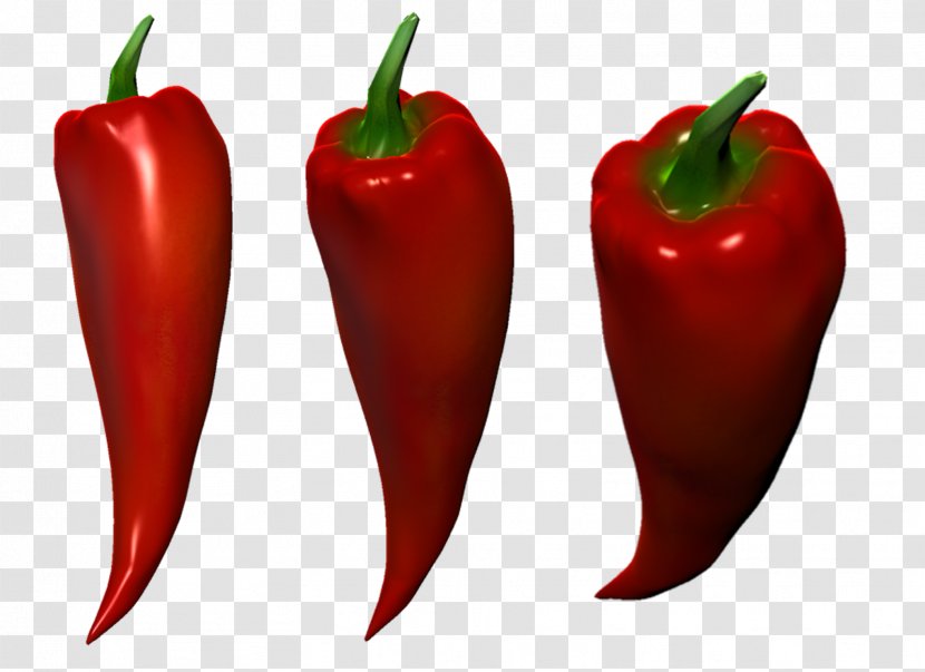 Habanero University For The Creative Arts, Rochester Campus Bird's Eye Chili Bell Pepper Tabasco - Fruit - Alan Infographic Transparent PNG