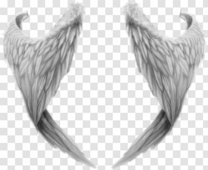 Clip Art - Monochrome - Wings Transparent PNG