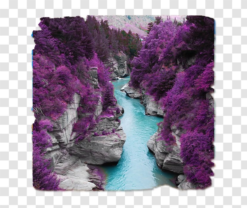 Shotover River Color Skye Photography Palette - Orange Transparent PNG