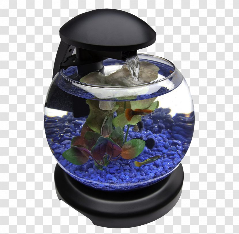 Aquarium Barcelona Goldfish - Glob Fish Tank Transparent PNG