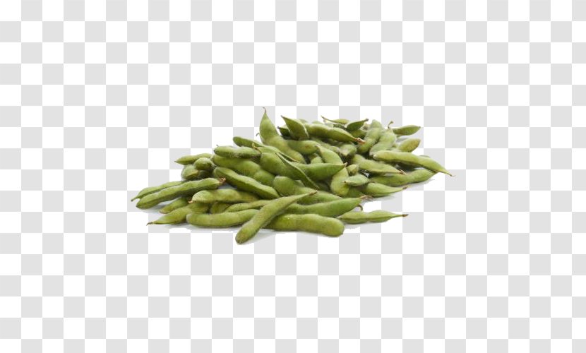 Edamame Green Bean Soybean - Lima - Free Buckle Material Transparent PNG