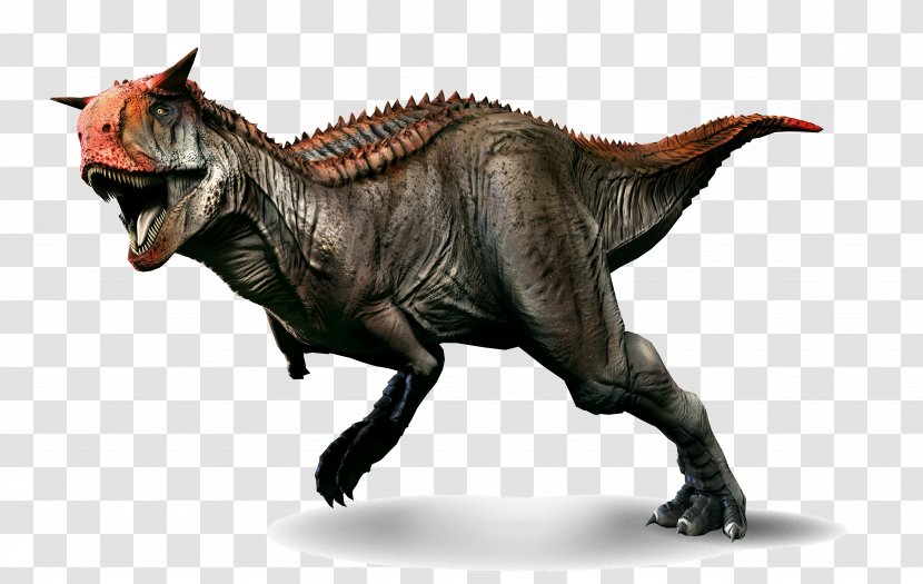 Carnotaurus Tyrannosaurus Spinosaurus Primal Carnage: Extinction Oviraptor - Velociraptor - Dinosaur Transparent PNG