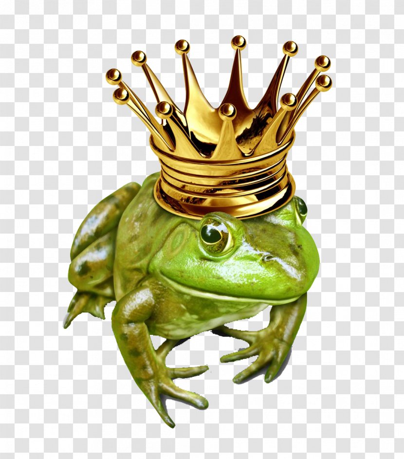 The Frog Prince Stock Illustration Photography - Ranidae Transparent PNG