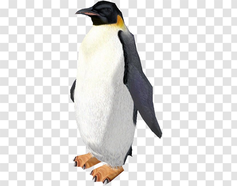 King Penguin Zoo Tycoon 2 Video Game - Gentoo Transparent PNG
