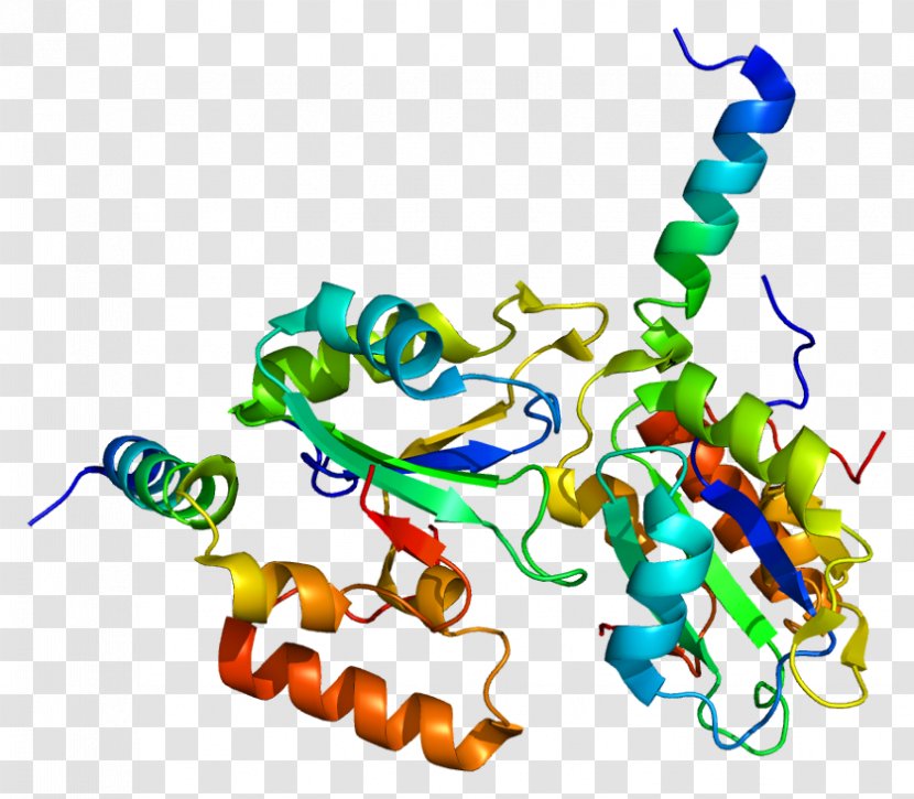 RNA Splicing Gene SF3B1 Protein Spliceosome - Genetic Code - Body Jewelry Transparent PNG