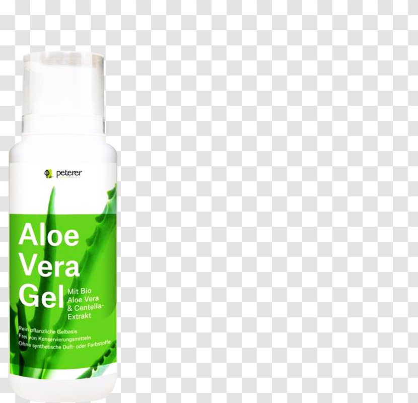 Aloe Vera Massachusetts Institute Of Technology Liquid Gel - Centella Asiatica Transparent PNG