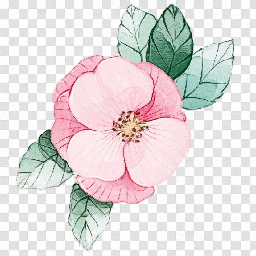 Rose Transparent PNG