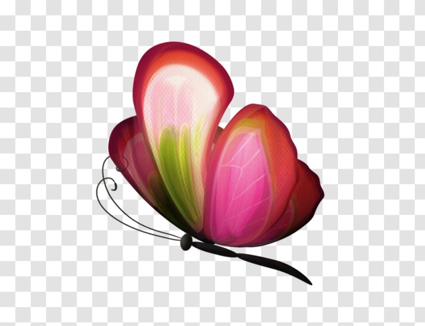 Desktop Wallpaper Pink M Computer Flowering Plant - Petal Transparent PNG