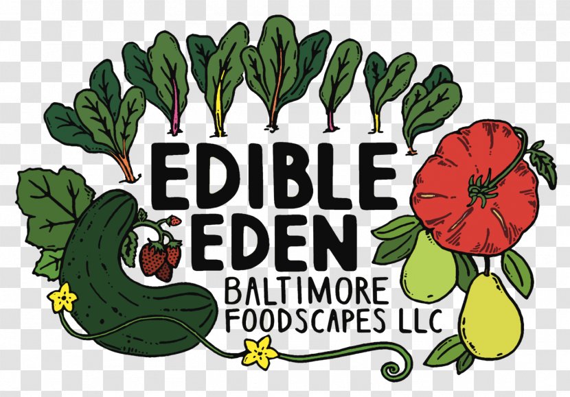 Jewish Museum Of Maryland Chicken Soup Logo Edible Eden Baltimore Foodscapes LLC Art - Nahunta Pork Outlet Transparent PNG