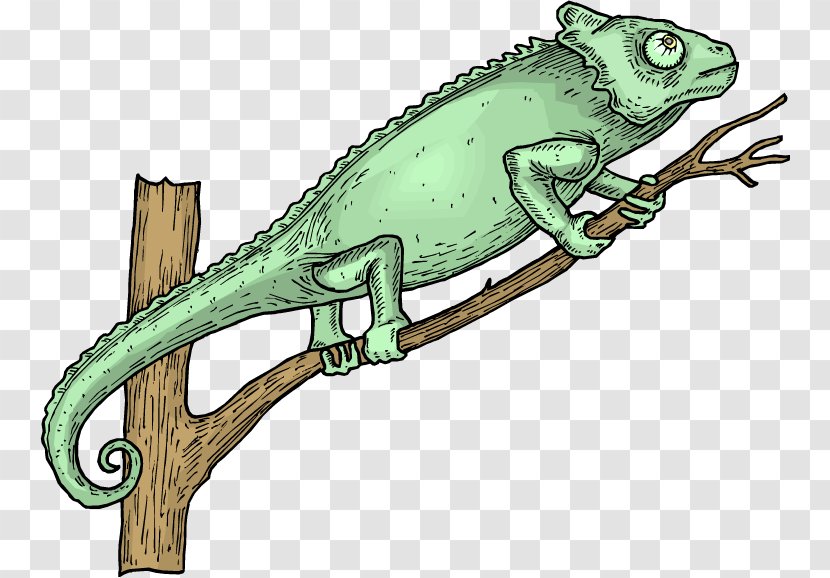 Lizard Chameleons Green Iguana Reptile Clip Art Transparent PNG