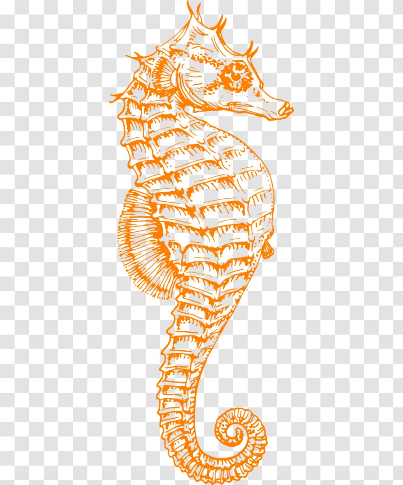 Seahorse Syngnathidae Clip Art Free Content Openclipart Transparent PNG