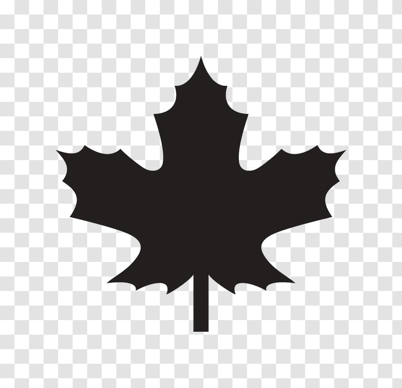 Maple Leaf Canada Clip Art - Cottonwood Transparent PNG