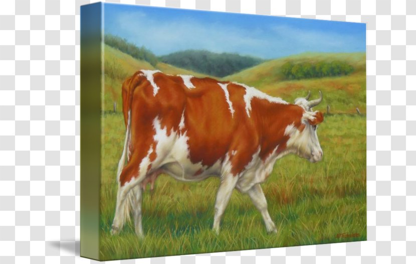 Dairy Cattle Calf Pasture Painting - Livestock Transparent PNG