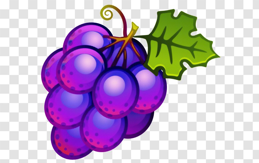 Grape Grapevine Family Purple Violet Vitis - Fruit - Seedless Transparent PNG