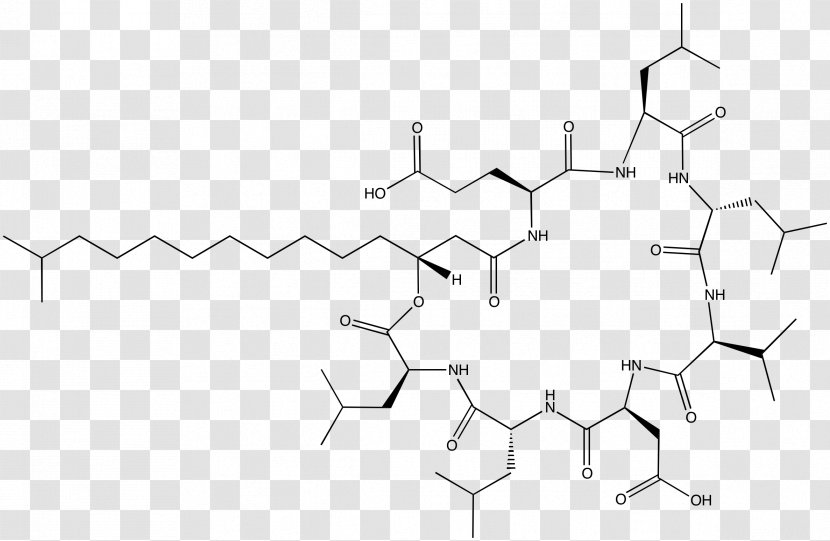 Surfactin Hay Bacillus Lipopeptide Biosurfactants Antibiotics - Diagram - Monochrome Transparent PNG