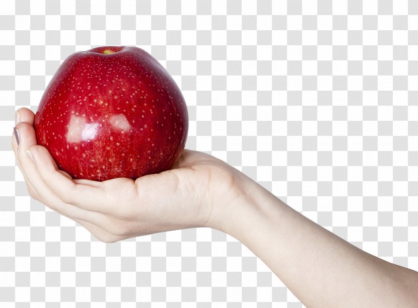 Apple Gratis - Red Delicious - Holding Apples Transparent PNG