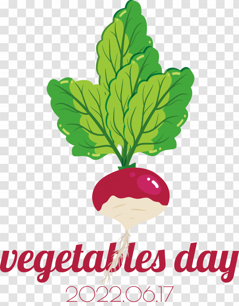 Turnip Leaf Vegetable Vegetable Turnip Vegetable Vitamin Salad Transparent PNG