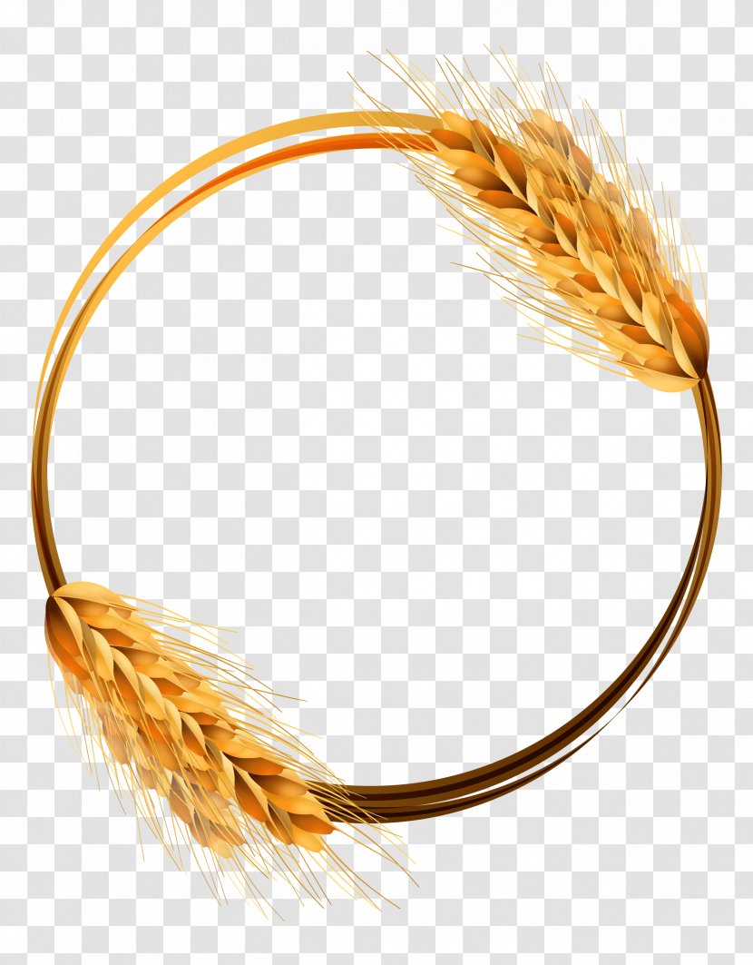 Common Wheat Ear Crop - Wholewheat Flour - Golden Ring Vector Material Transparent PNG