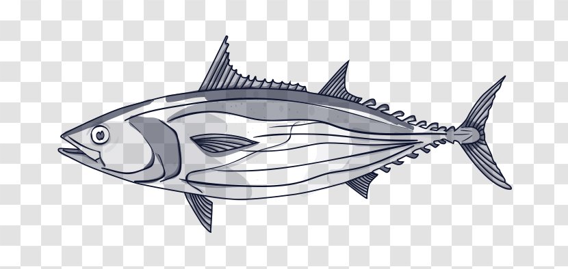 Fish Cartoon - Atlantic Bluefin Tuna - Scombridae Rayfinned Transparent PNG