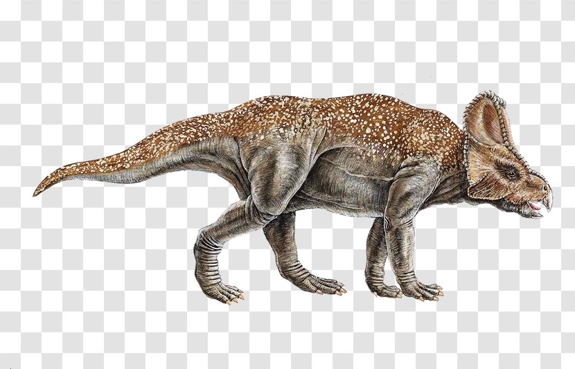 Avaceratops Utahceratops Late Cretaceous Einiosaurus - Dinosaurs Transparent PNG