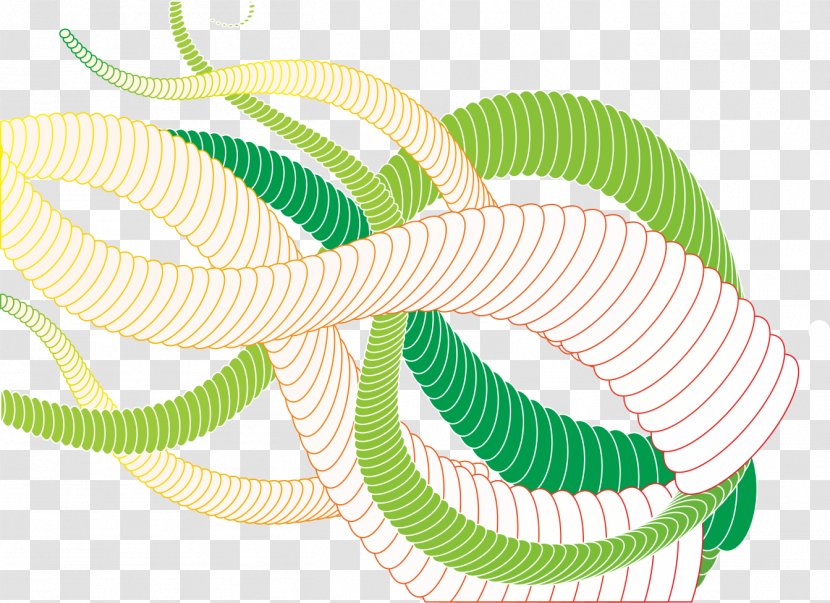 Green - Line Transparent PNG