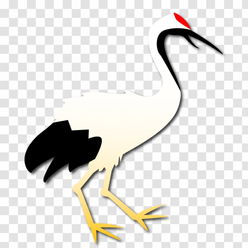 Seabird Beak Stork Clip Art - Bird Transparent PNG
