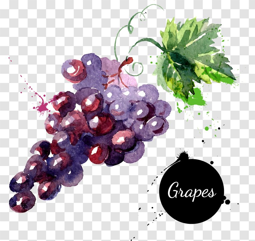 Grape Watercolor Painting Drawing Royalty-free - Zante Currant - Cartoon Fruit Grapes Hand-painted Transparent PNG