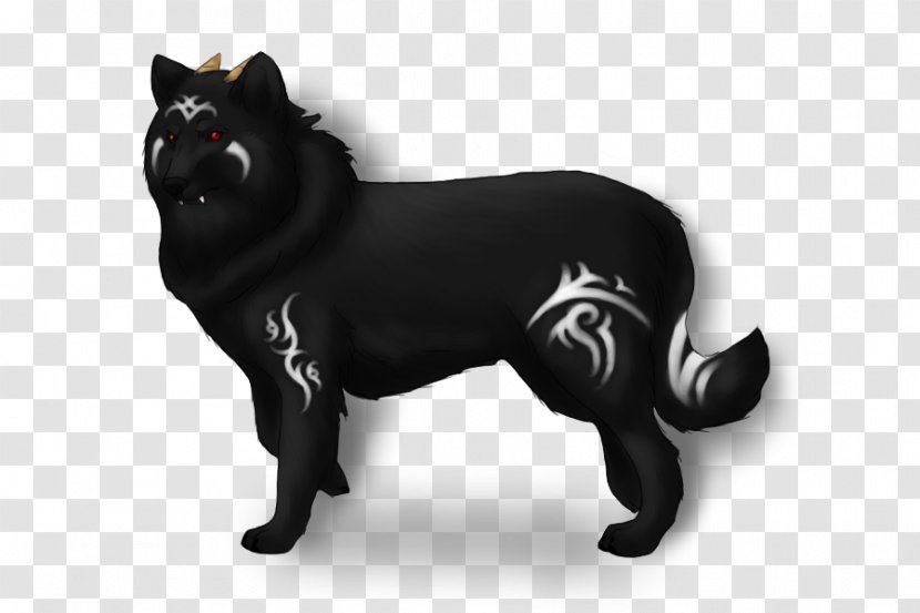 Schipperke Black Cat Whiskers Dog Breed - Group Transparent PNG