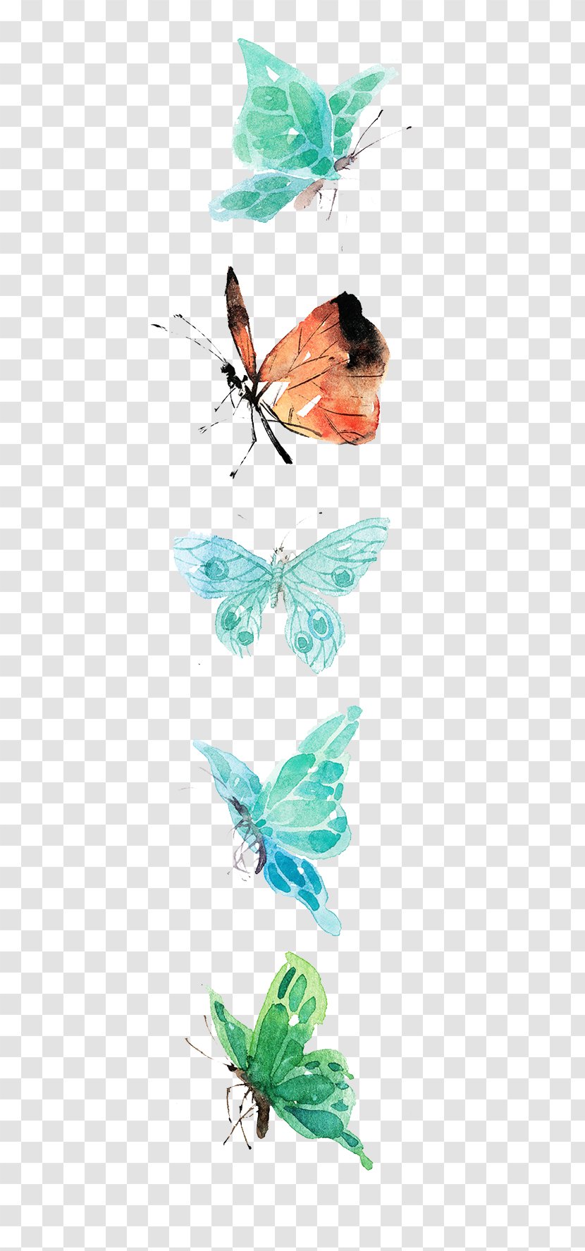 Watercolor Painting Drawing Graphic Design Illustration - Cartoon - Butterfly Transparent PNG