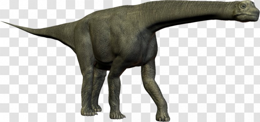 Tyrannosaurus Velociraptor Animal - Terrestrial - Dinosaur Transparent PNG