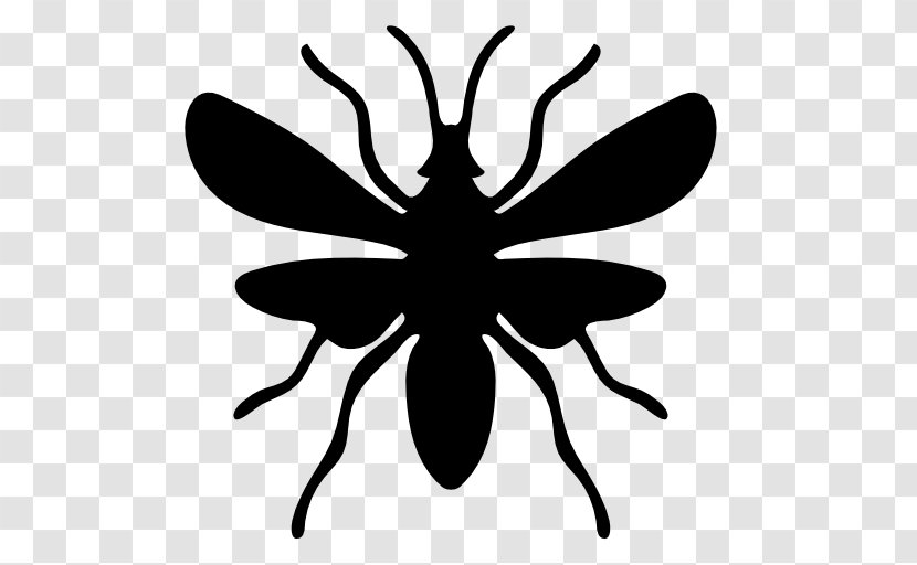Ant Insect Euclidean Vector Icon - Monochrome - Silhouettes Transparent PNG