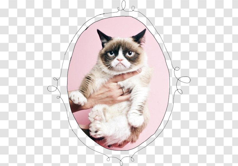 Grumpy Cat Kitten Fashion Cats Behavior - Watercolor Transparent PNG