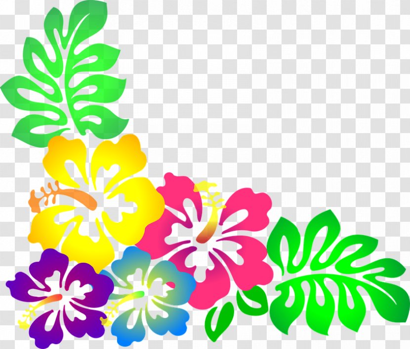 hawaiian borders and frames flower clip art mallow family moana transparent png hawaiian borders and frames flower clip