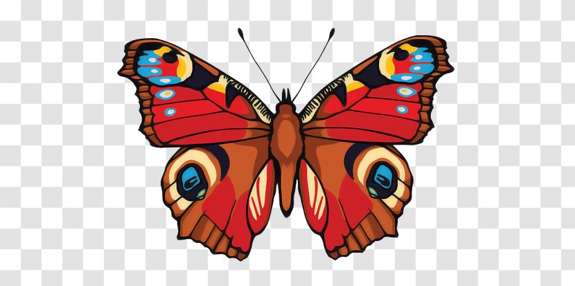 Butterfly Inachis Io - Wing Transparent PNG