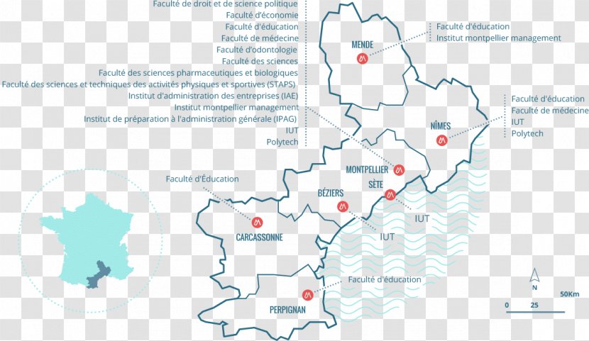 University Of Montpellier École Polytechnique Universitaire De Faculté Pharmacie Faculty Law And Political Science - Map - Student Transparent PNG