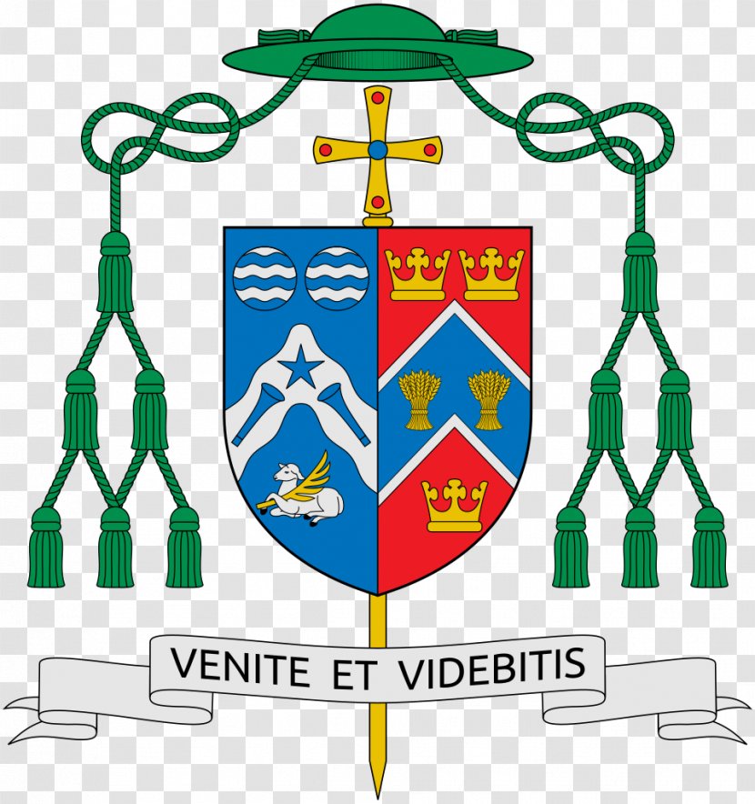 Diocese Of Rome Pontifical Lateran University Gregorian Auxiliary Bishop - Artwork - Matthew Transparent PNG