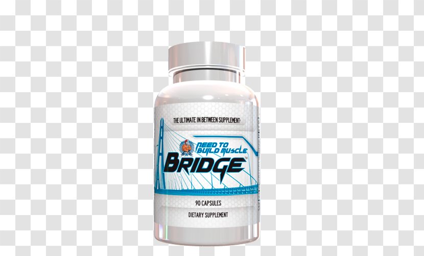 Dietary Supplement Bodybuilding Anabolic Steroid Muscle - Bridge Transparent PNG