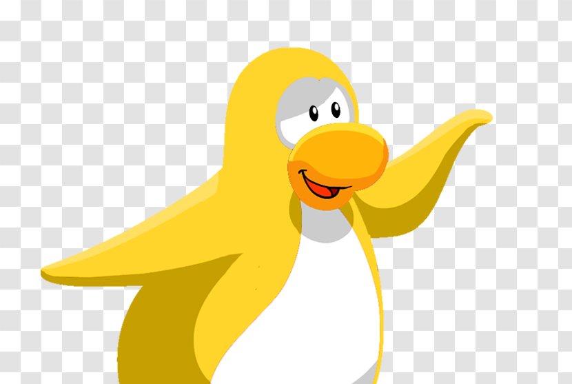 Club Penguin Duck Bird Southern Rockhopper - Vertebrate Transparent PNG