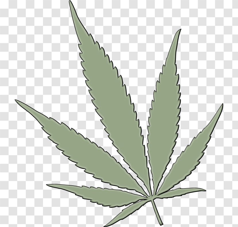 Cannabis Leaf Background - Service - Herbaceous Plant Perennial Transparent PNG