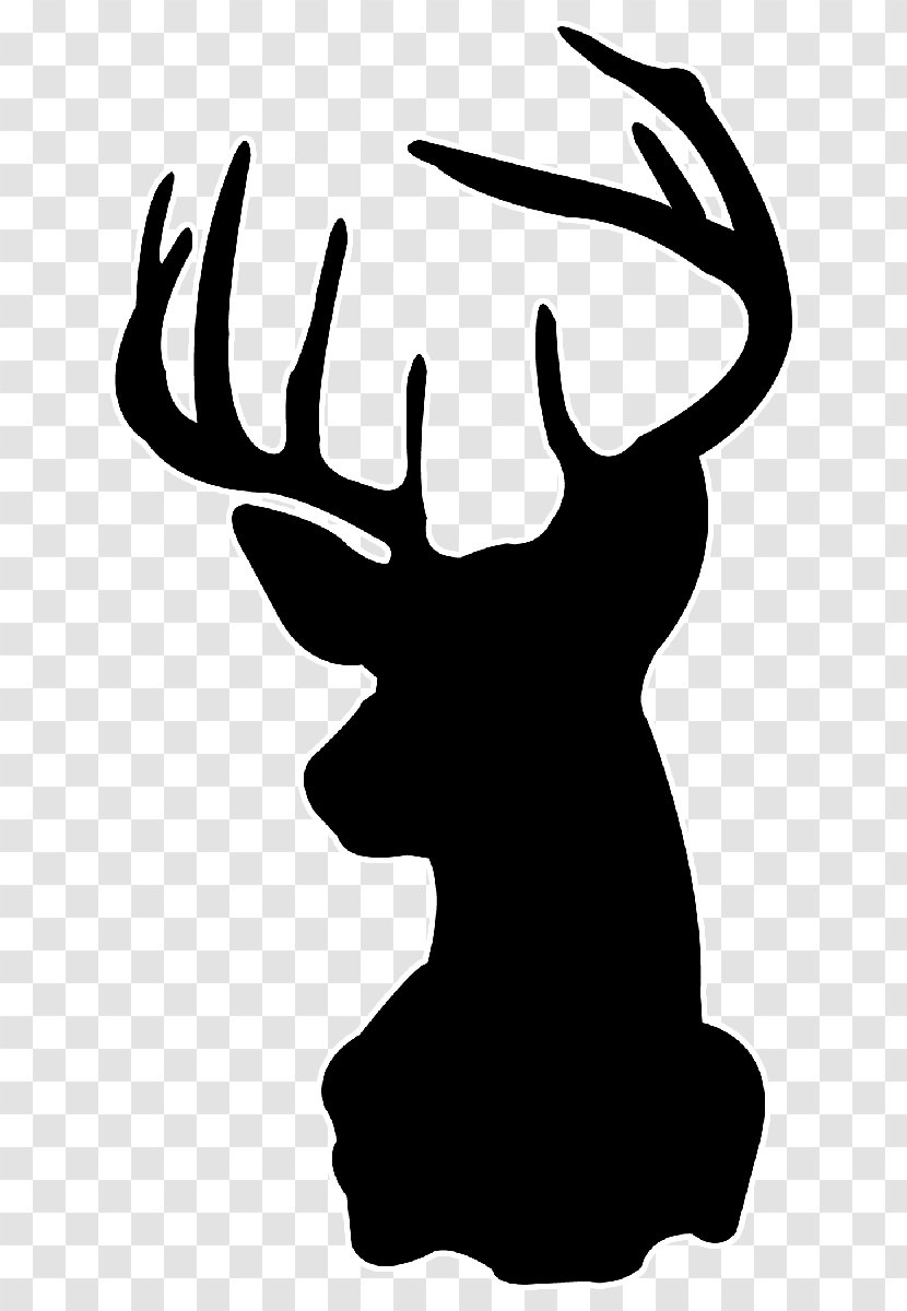 White-tailed Deer Silhouette Stencil Drawing - Hunting - Head Transparent PNG