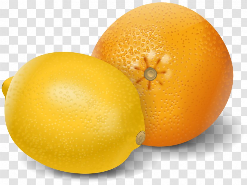 Orange Juice Lemon Mandarin Grapefruit - Calamondin Transparent PNG