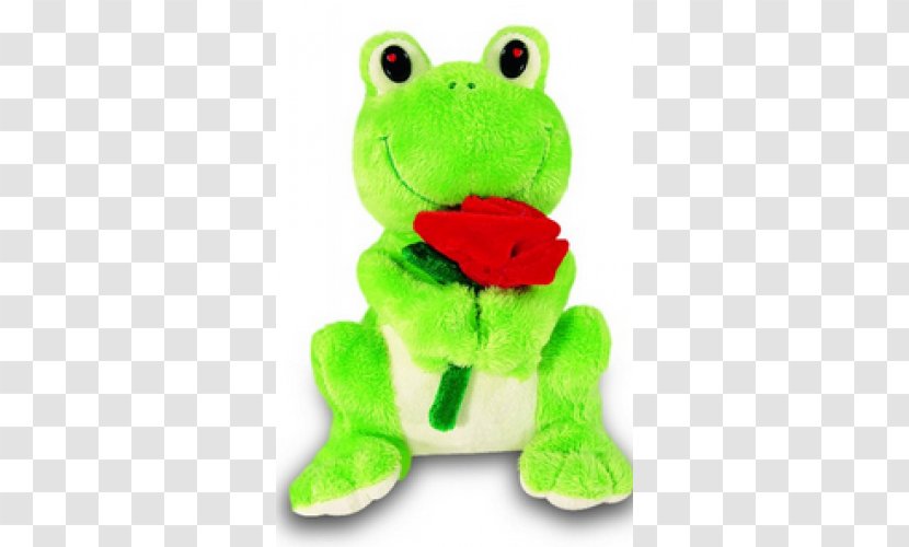 Tree Frog True Plush Stuffed Animals & Cuddly Toys - Amphibian Transparent PNG