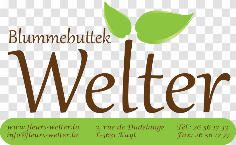 Logo Brand Green Product Design - Welter Transparent PNG